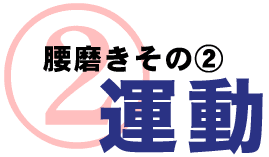 腰磨きその２．運動