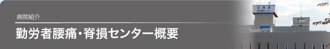 勤労者腰痛・脊損センター概要