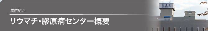 リウマチ・膠原病センター概要