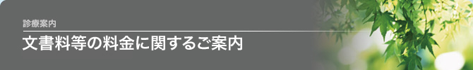 文書料等の料金に関するご案内