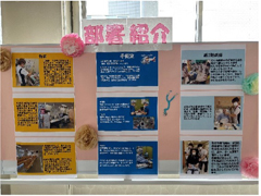 展示